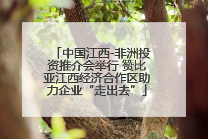 中国江西-非洲投资推介会举行 赞比亚江西经济合作区助力企业“走出去”